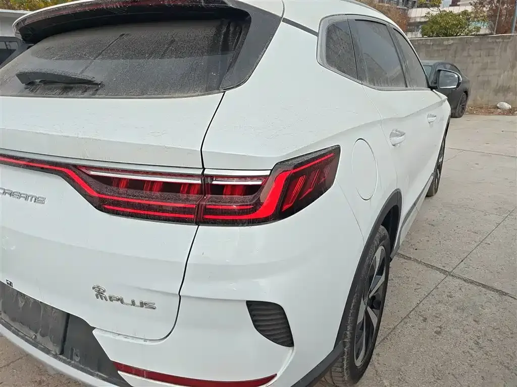 BYD PLUS New Energy 2023 из CN, фото 8