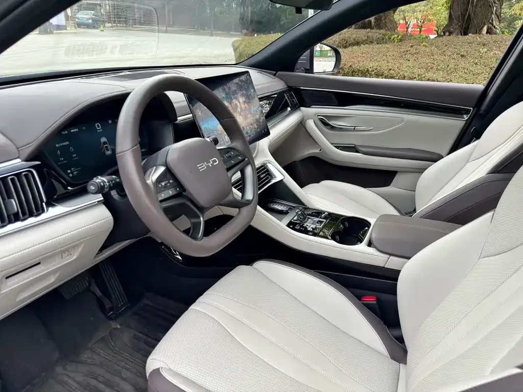 BYD PLUS New Energy — фото 10
