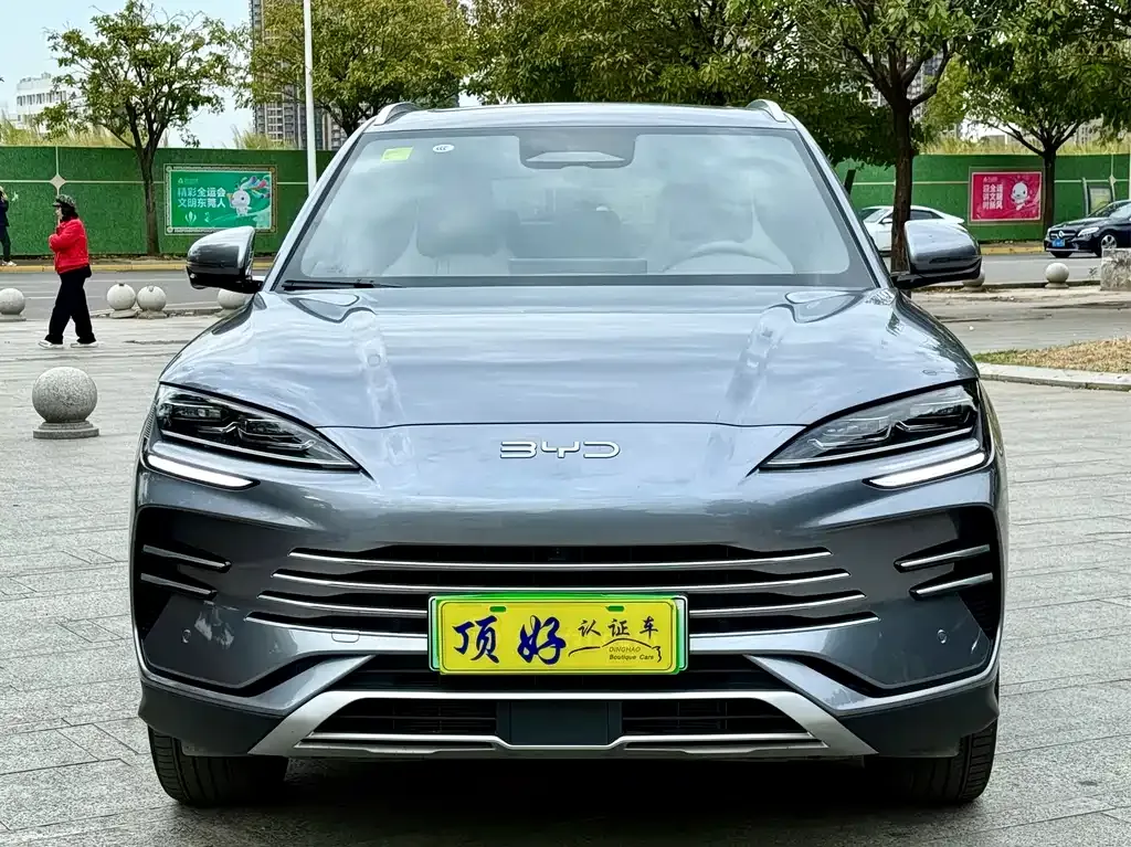 BYD PLUS New Energy — фото 2