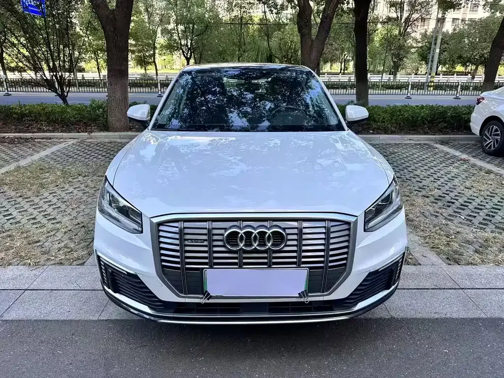 Audi Q2L e-tron 2021 из CN, фото 3