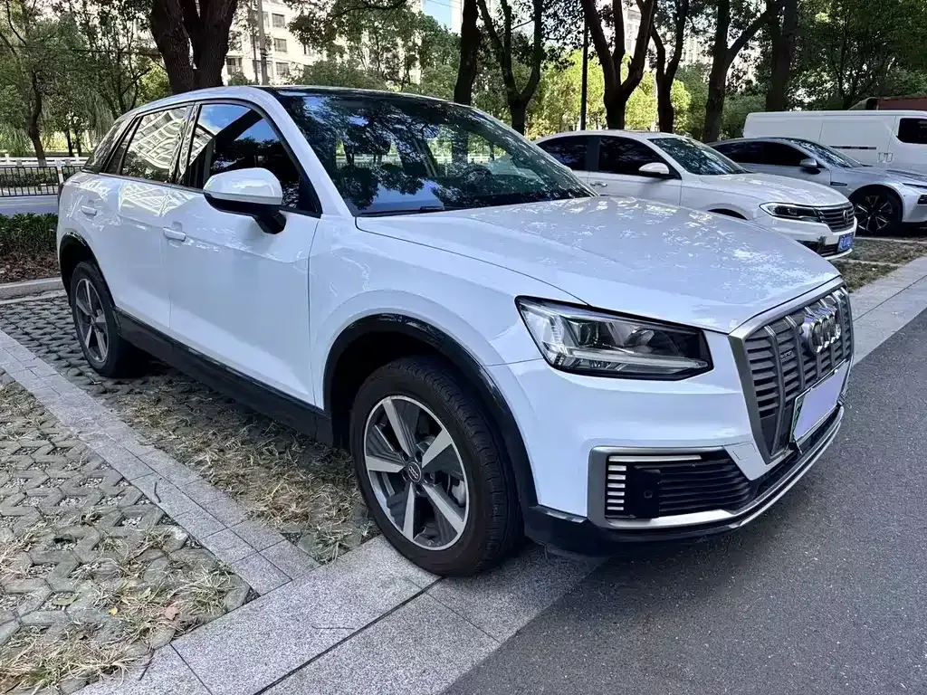 Audi Q2L e-tron 2021 из CN, фото 8