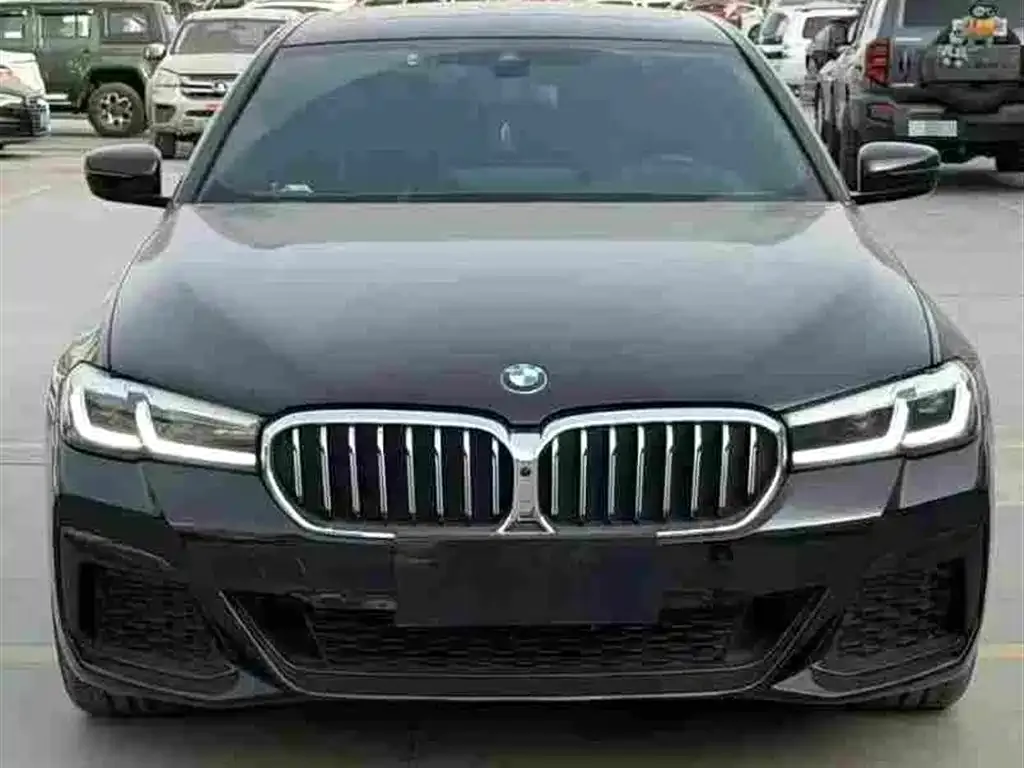 BMW 5 Series 2024 из CN, фото 8