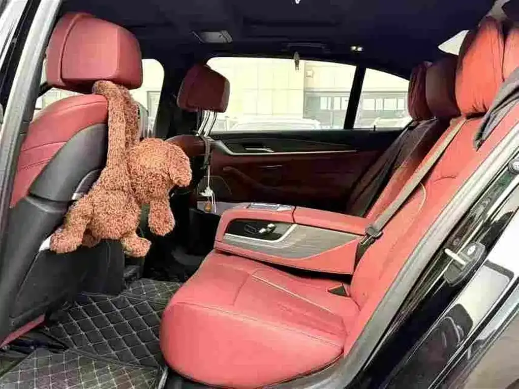 BMW 5 Series 2024 из CN, фото 5