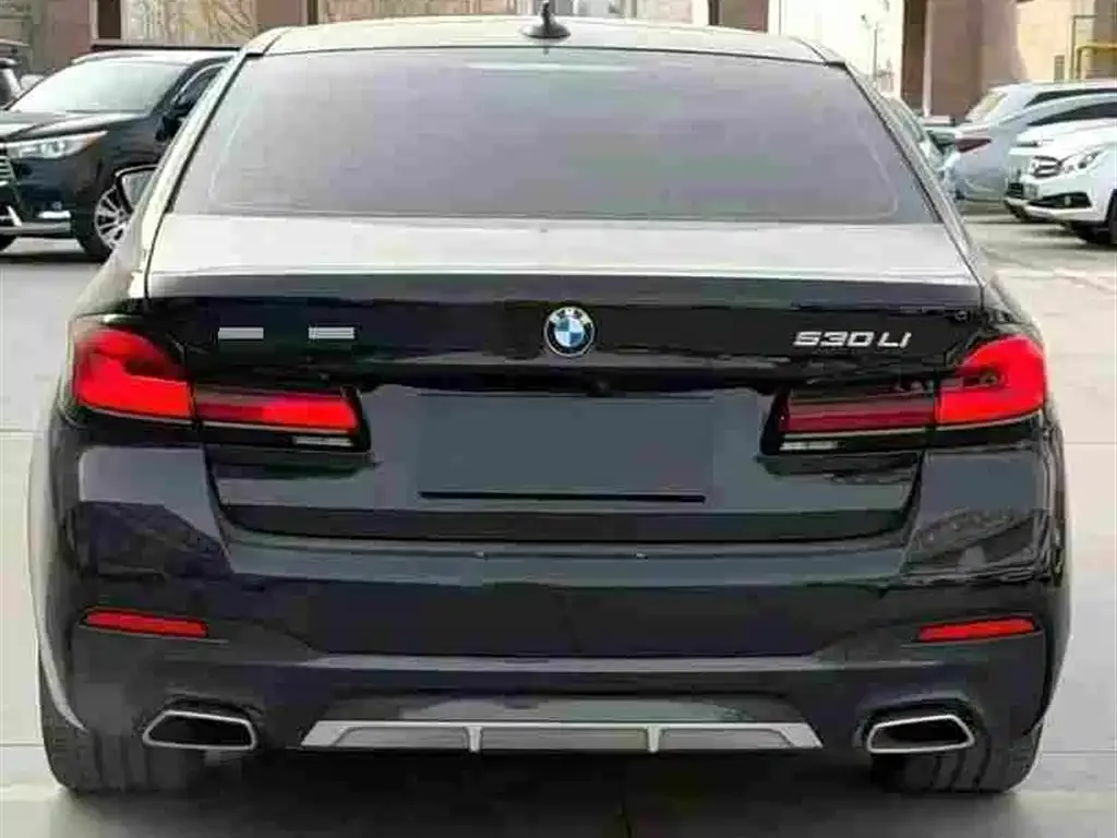 BMW 5 Series 2024 из CN, фото 3