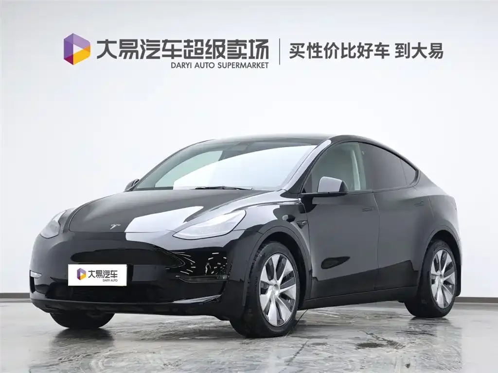 Tesla Model Y 2021 из CN, фото 1