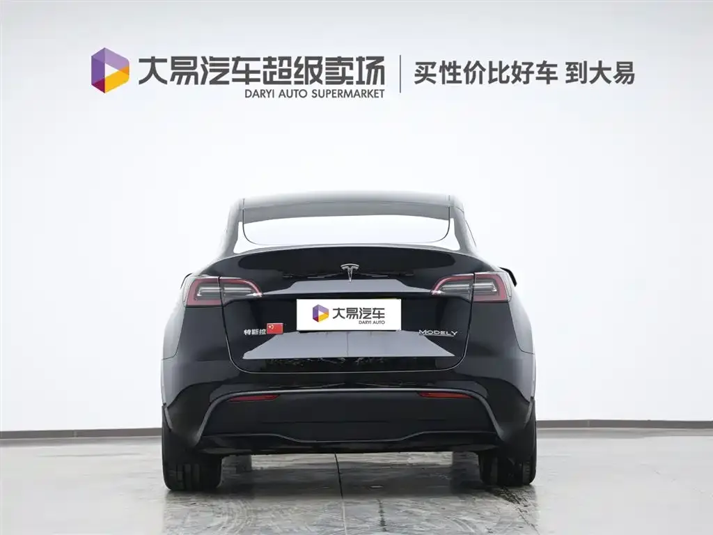 Tesla Model Y 2021 из CN, фото 2