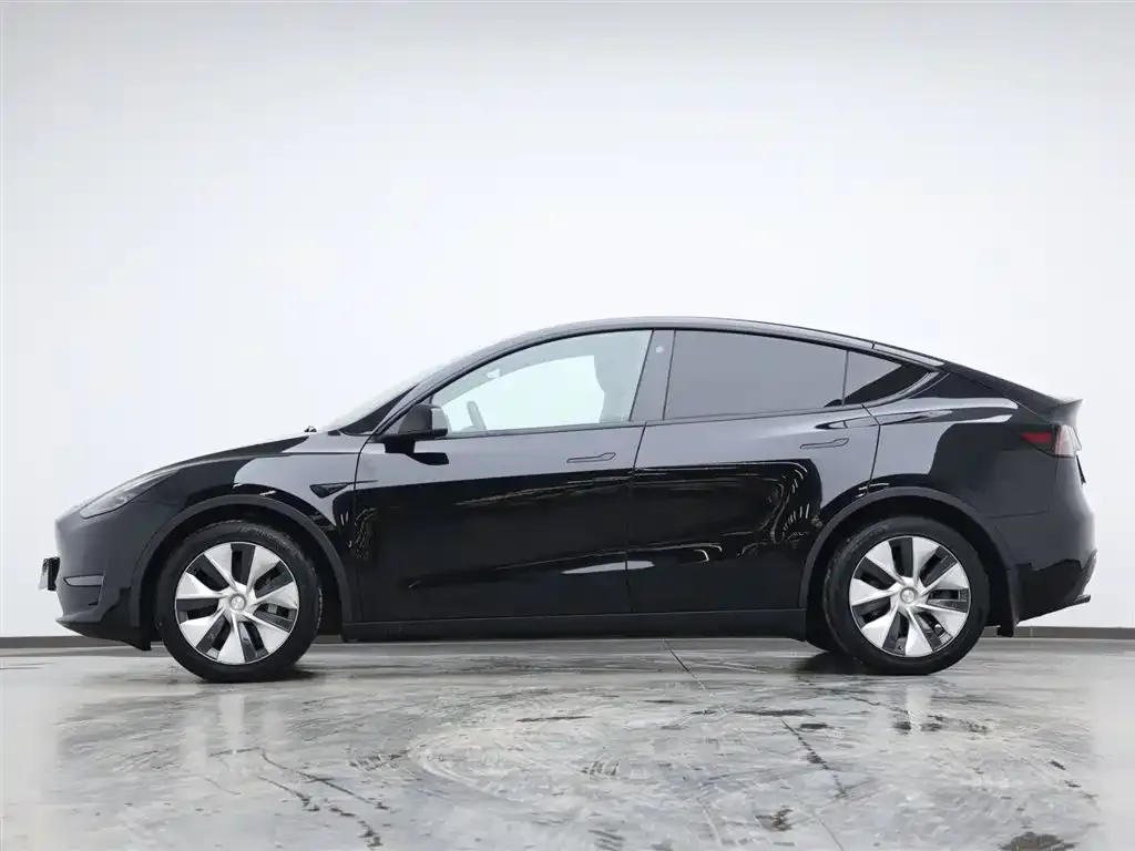 Tesla Model Y 2021 из CN, фото 3