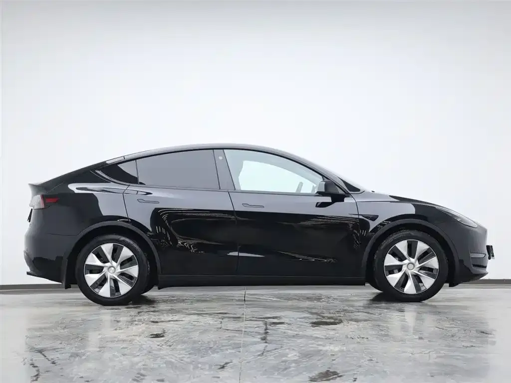 Tesla Model Y 2021 из CN, фото 8
