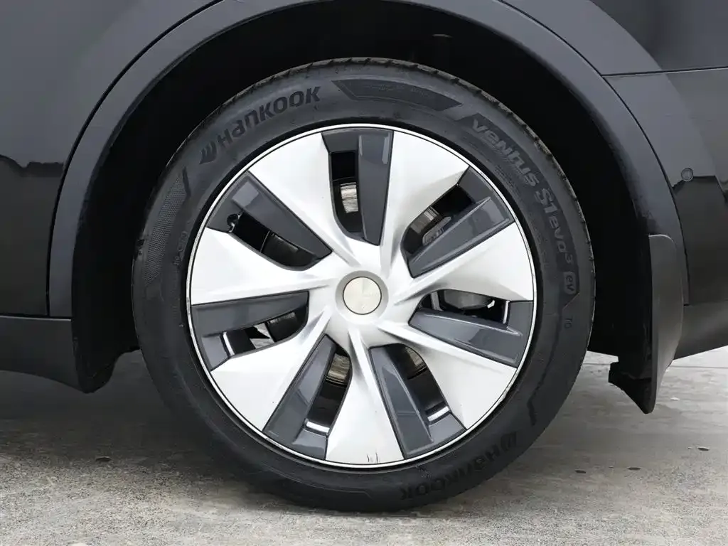 Tesla Model Y 2021 из CN, фото 6