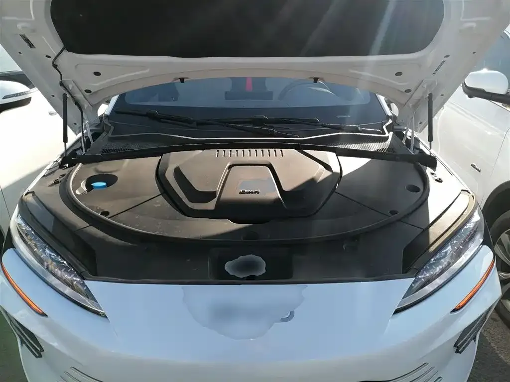 BYD PLUS New Energy 2025 из CN, фото 10