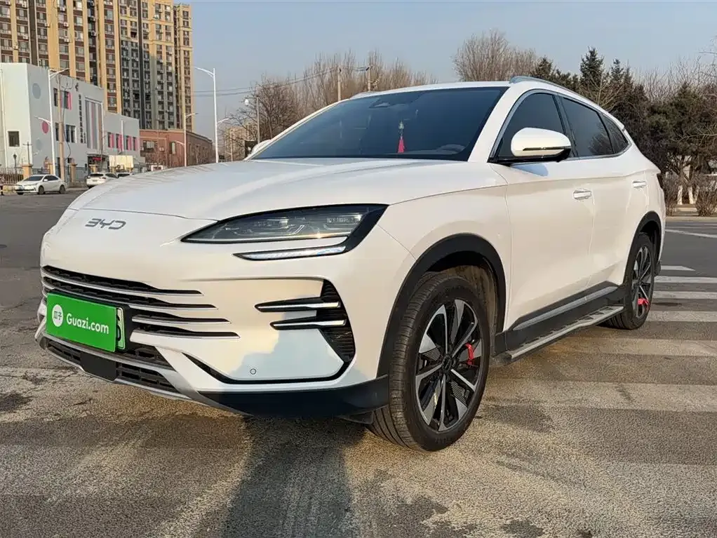 BYD PLUS New Energy 2025 из CN, фото 2