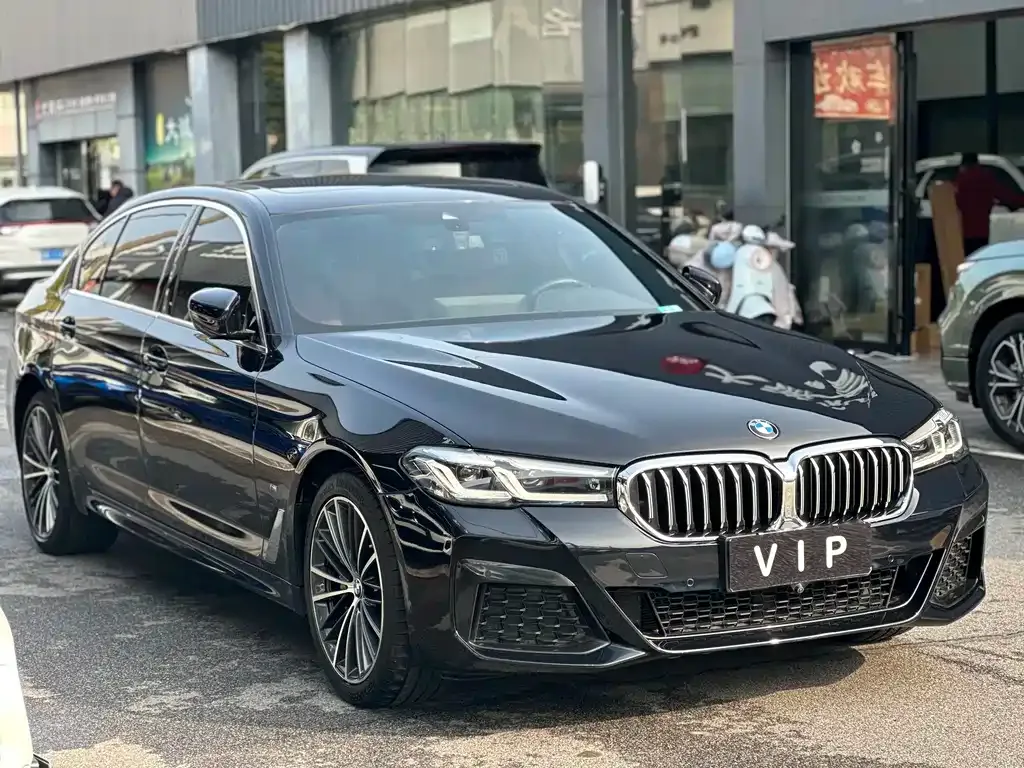 BMW 5 Series 2022 из CN, фото 10