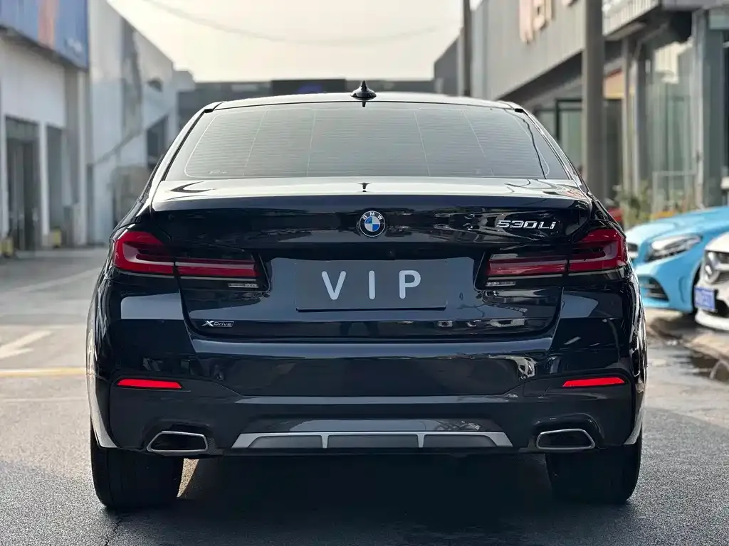 BMW 5 Series 2022 из CN, фото 4