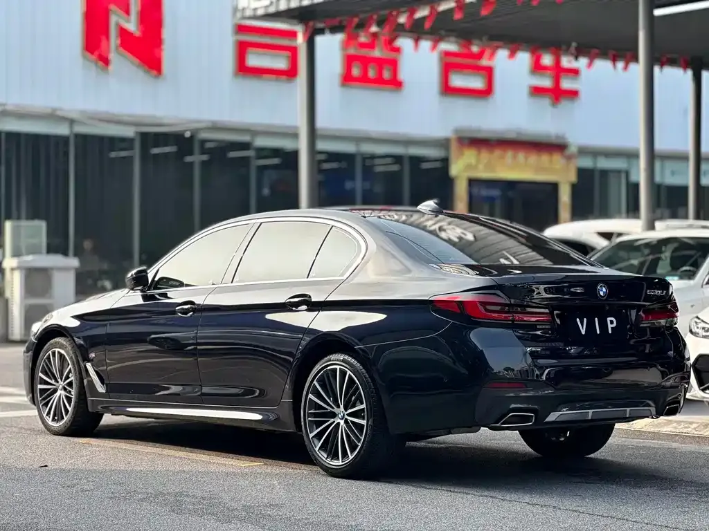 BMW 5 Series 2022 из CN, фото 8