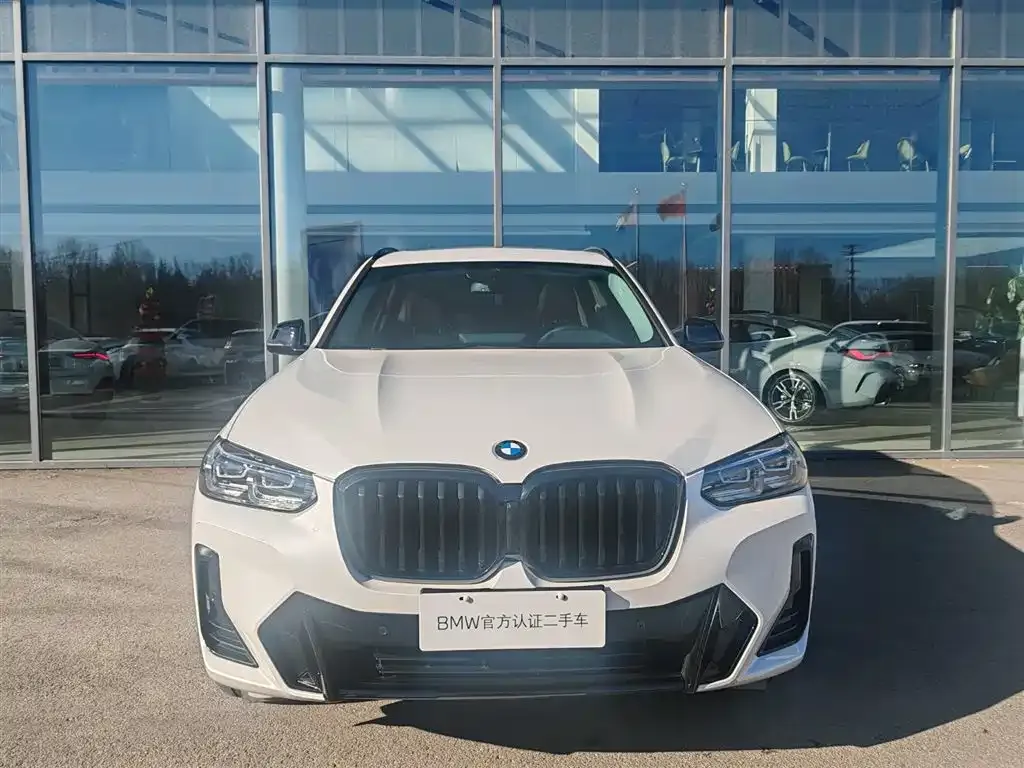 BMW X3 2022 из CN, фото 10