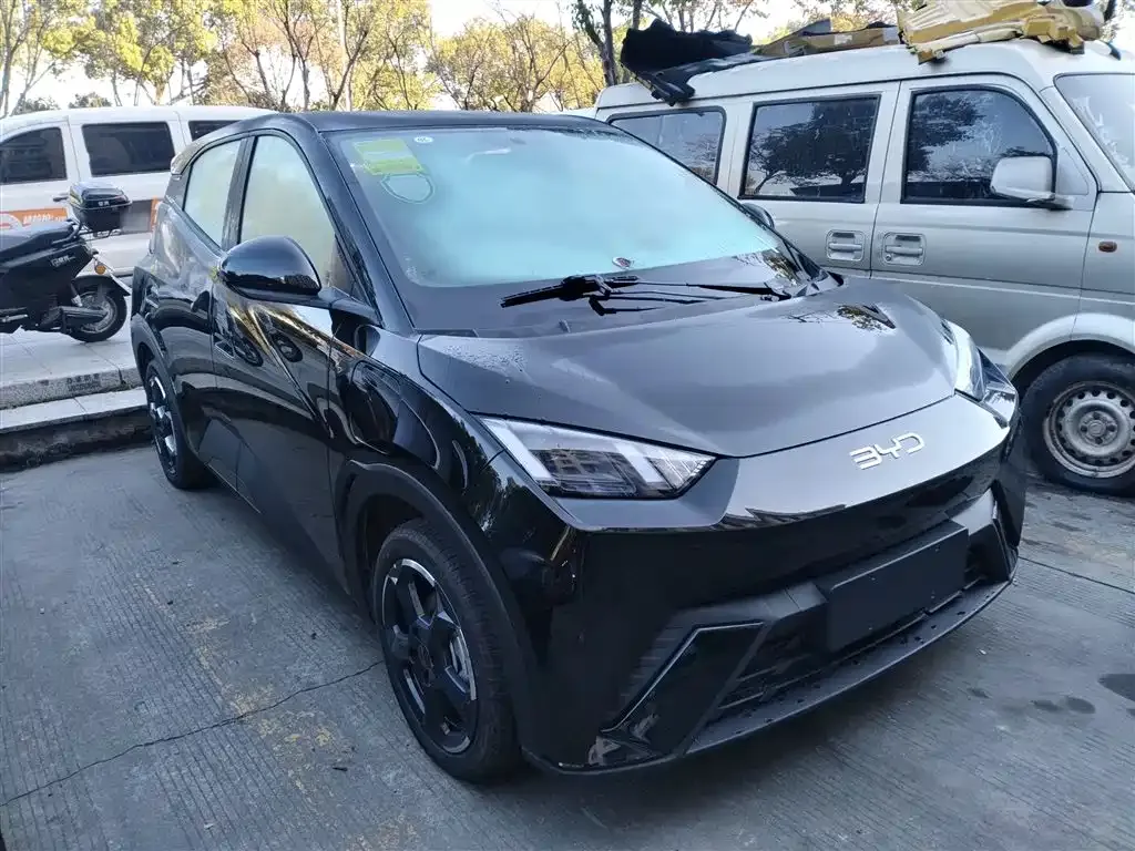 BYD Seagull 2025 из CN, фото 4