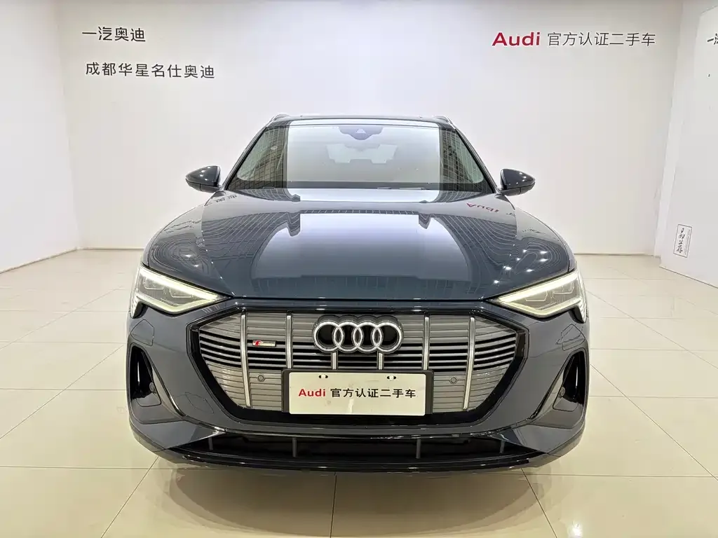 Audi e-tron (Import) 2022 из CN, фото 9