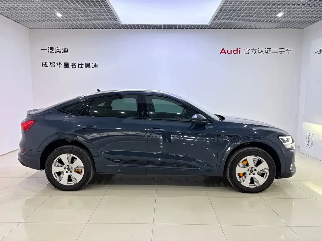 Audi e-tron (Import) 2022 из CN, фото 8