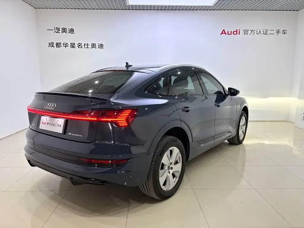 Audi e-tron (Import) 2022 из CN, фото 10