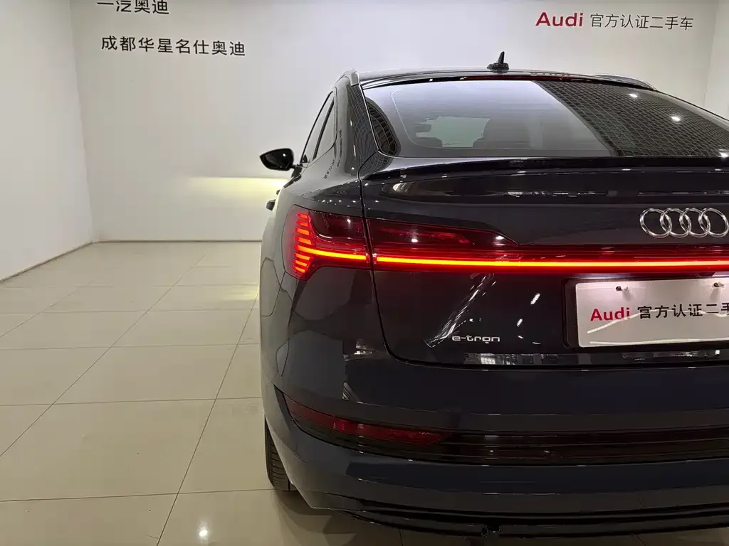 Audi e-tron (Import) 2022 из CN, фото 7
