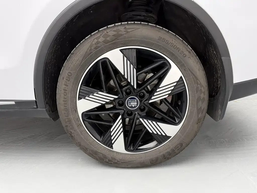 BYD Tang New Energy 2023 из CN, фото 5