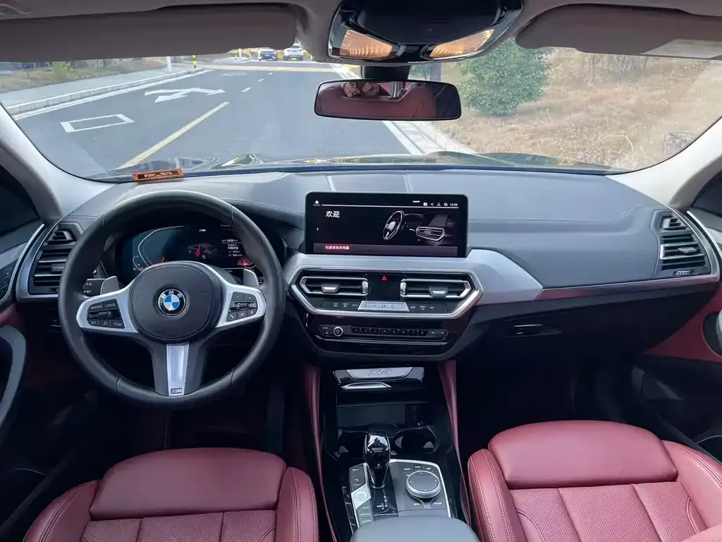 BMW X4 2023 из CN, фото 5