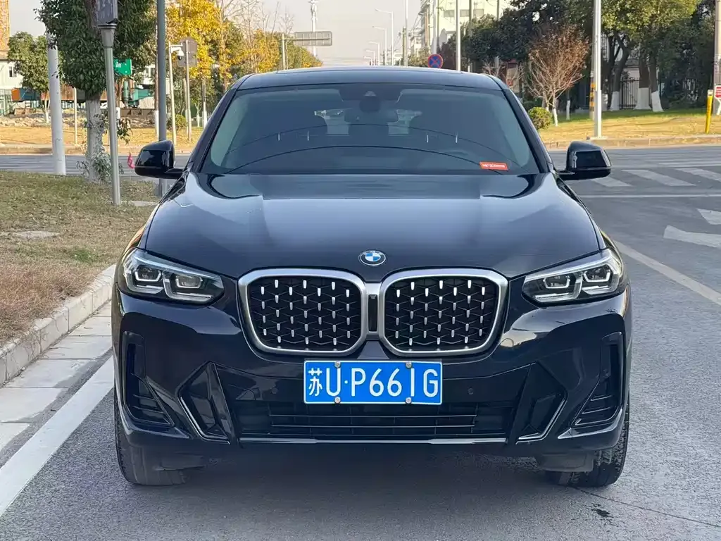 BMW X4 2023 из CN, фото 4