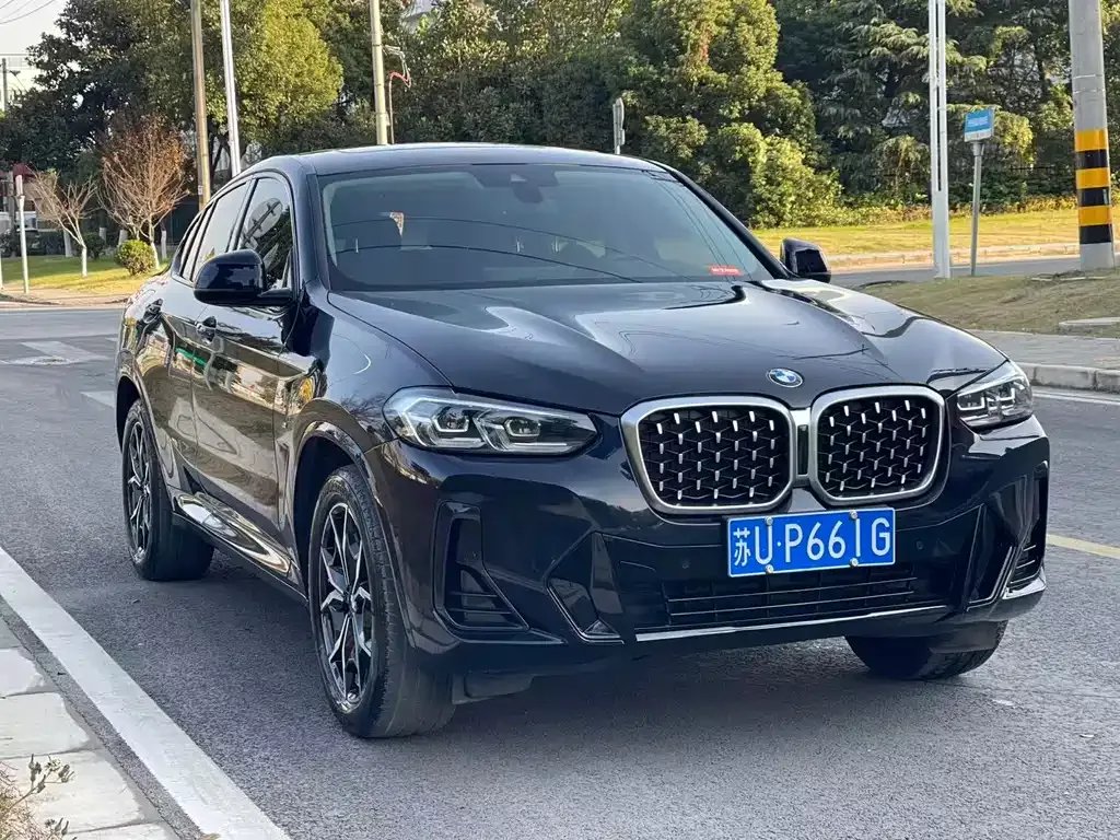 BMW X4 2023 из CN, фото 10
