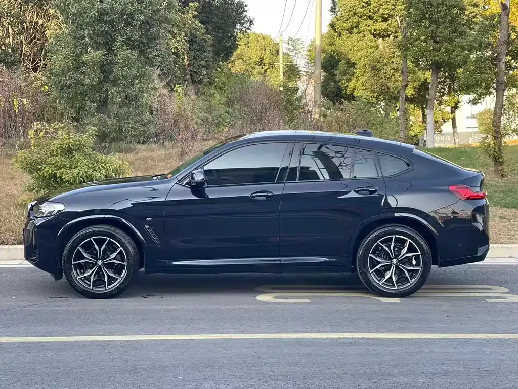 BMW X4 2023 из CN, фото 7