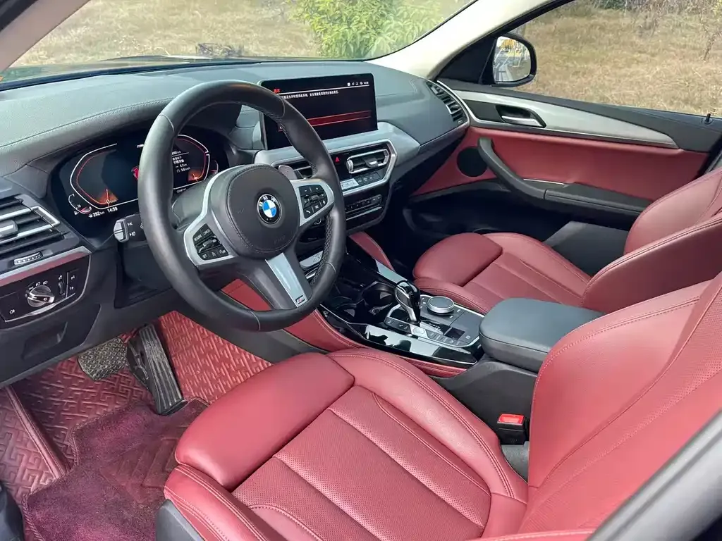 BMW X4 2023 из CN, фото 9