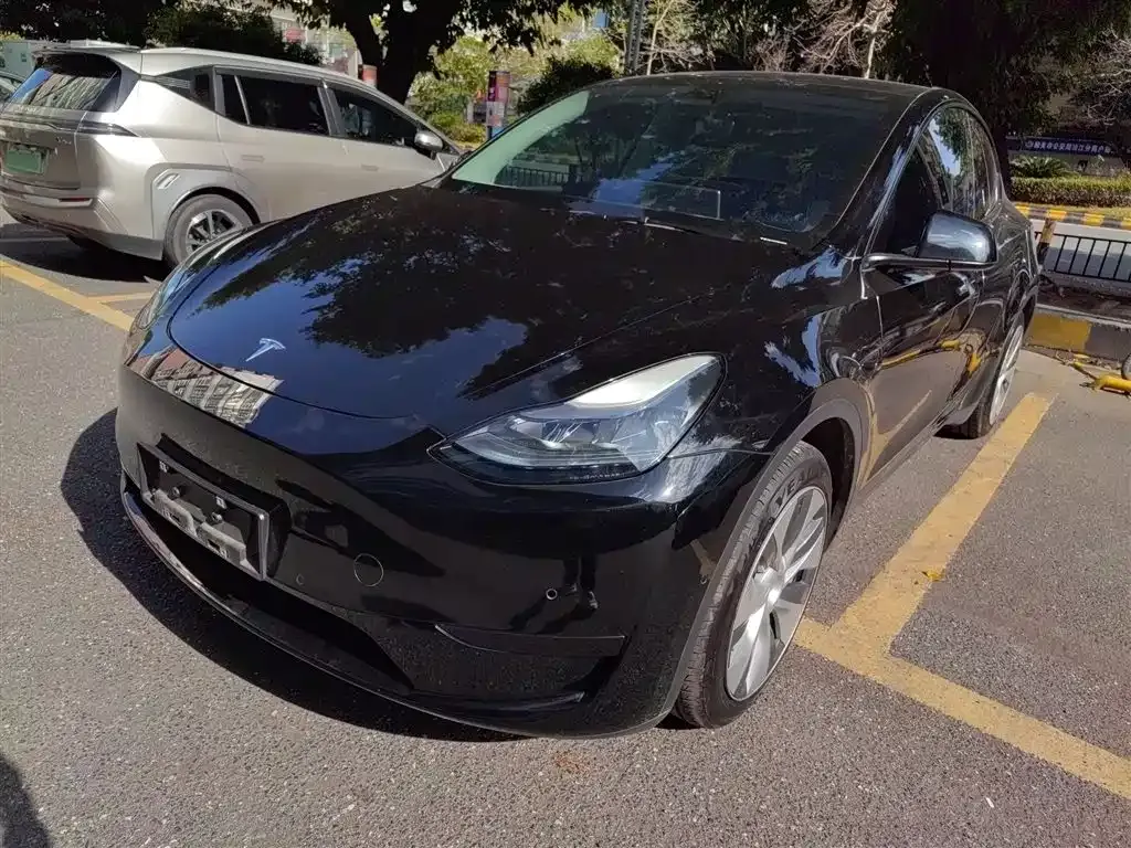 Tesla Model Y 2022 из CN, фото 2
