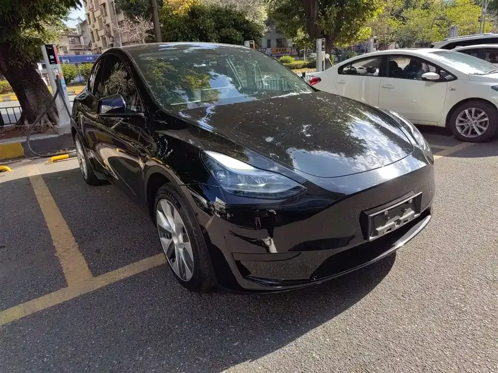 Tesla Model Y 2022 из CN, фото 4