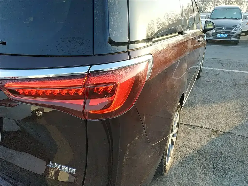 Buick GL8 2021 из CN, фото 6