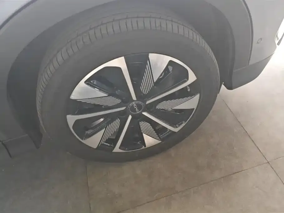 BYD PLUS New Energy 2025 из CN, фото 3