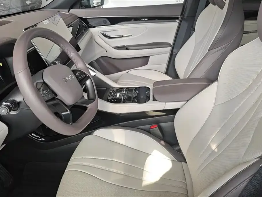 BYD PLUS New Energy 2025 из CN, фото 8