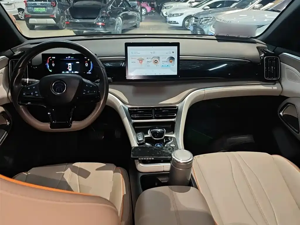 BYD Pro New Energy 2024 из CN, фото 4