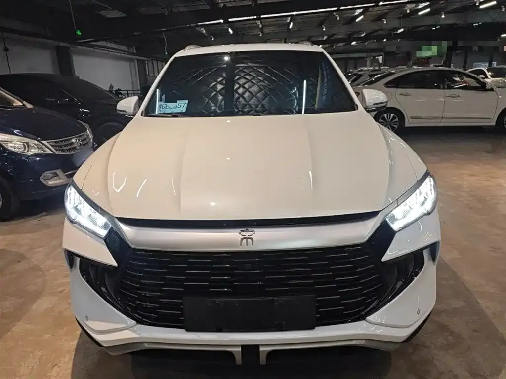 BYD Pro New Energy 2024 из CN, фото 3