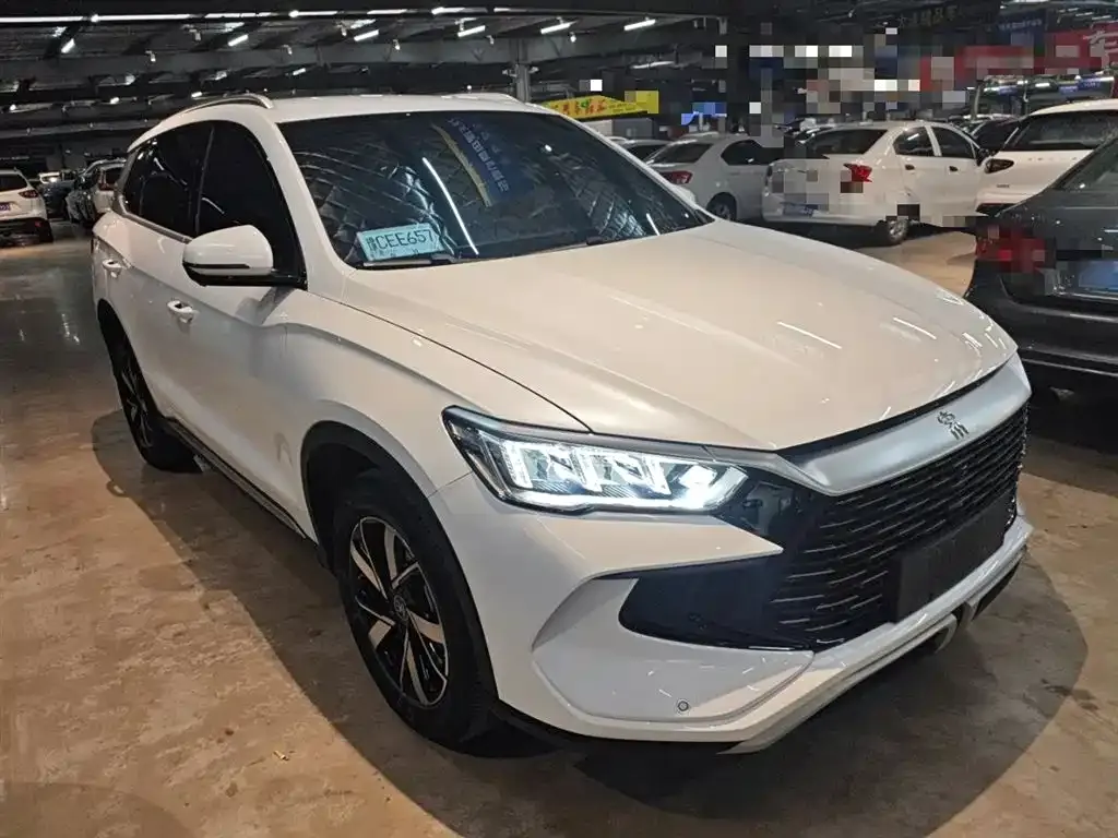 BYD Pro New Energy 2024 из CN, фото 8