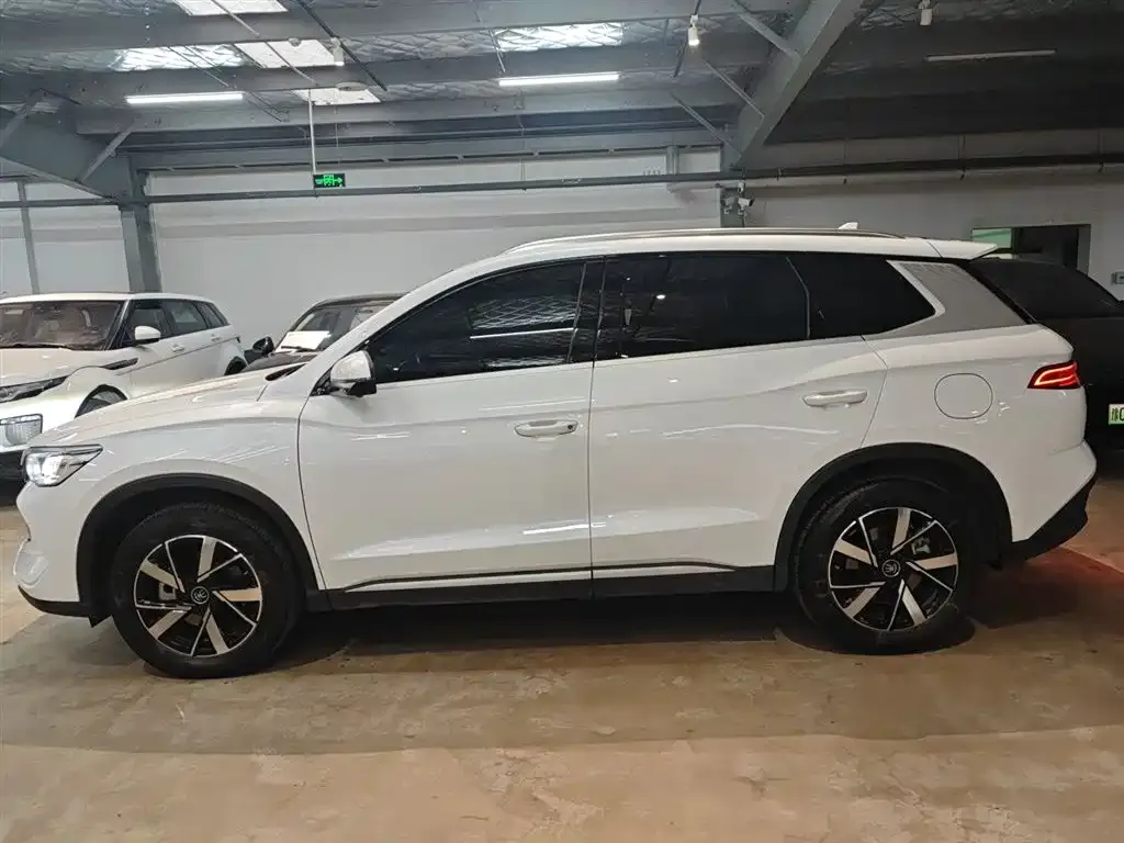 BYD Pro New Energy 2024 из CN, фото 7