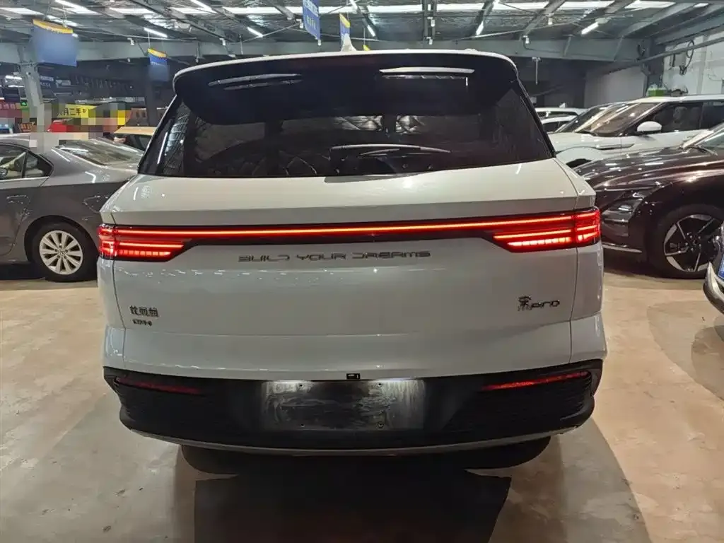 BYD Pro New Energy 2024 из CN, фото 5