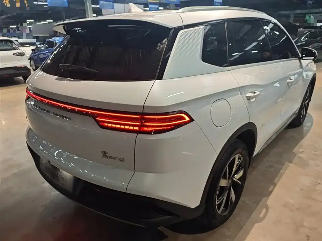 BYD Pro New Energy 2024 из CN, фото 10
