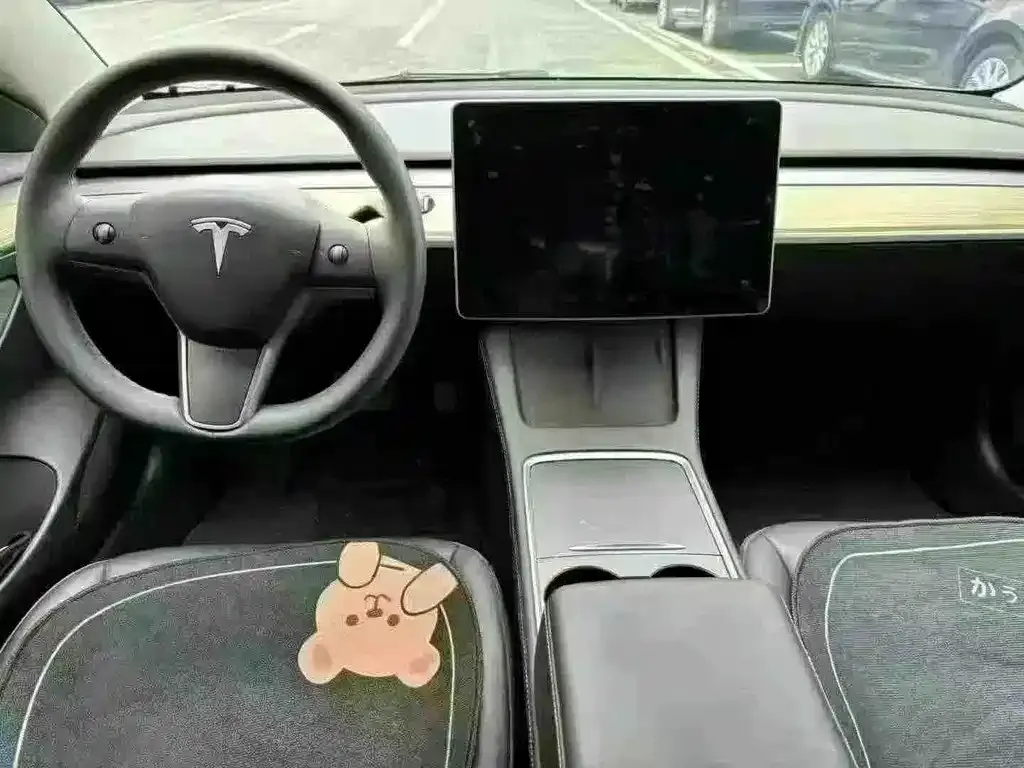 Tesla Model 3 2023 из CN, фото 5