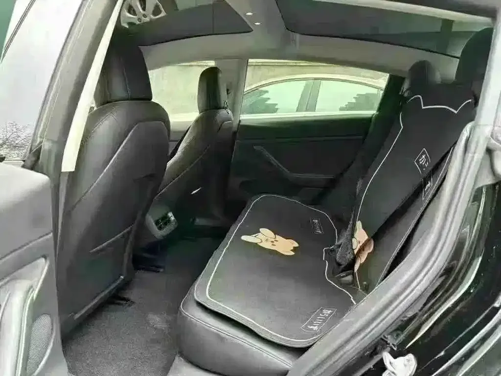 Tesla Model 3 2023 из CN, фото 3