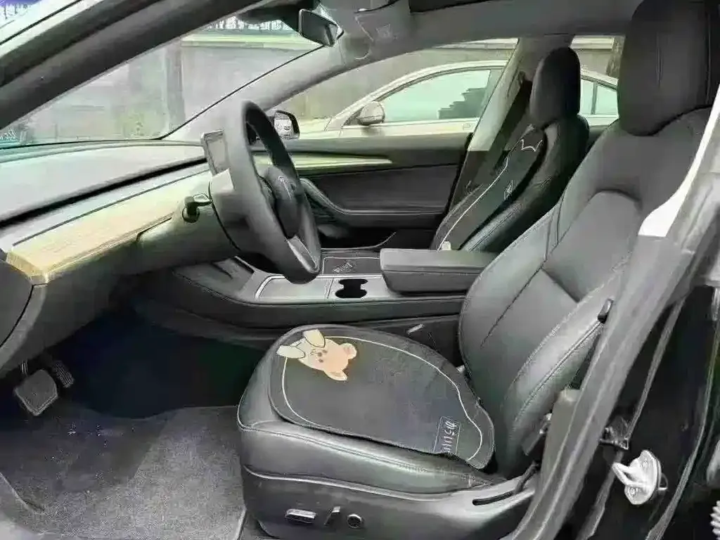 Tesla Model 3 2023 из CN, фото 2