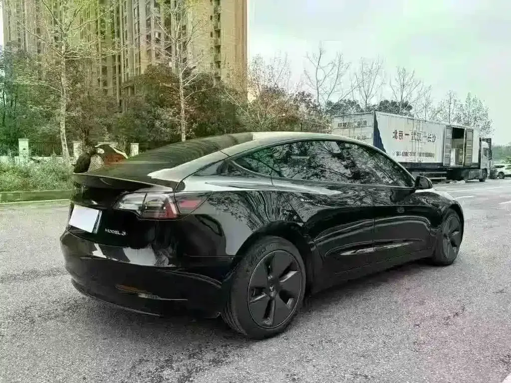 Tesla Model 3 2023 из CN, фото 8