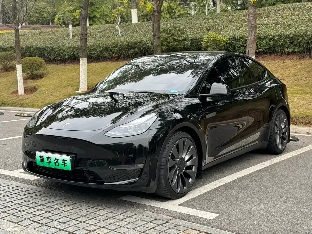 Tesla Model Y 2022 из CN, фото 1