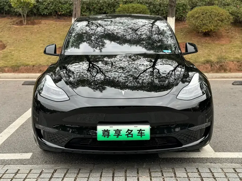 Tesla Model Y 2022 из CN, фото 9