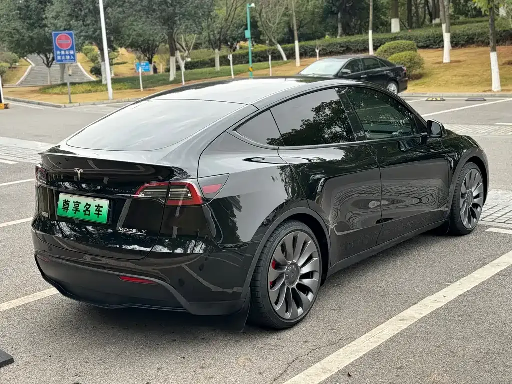 Tesla Model Y 2022 из CN, фото 5