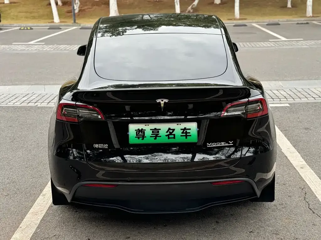 Tesla Model Y 2022 из CN, фото 2