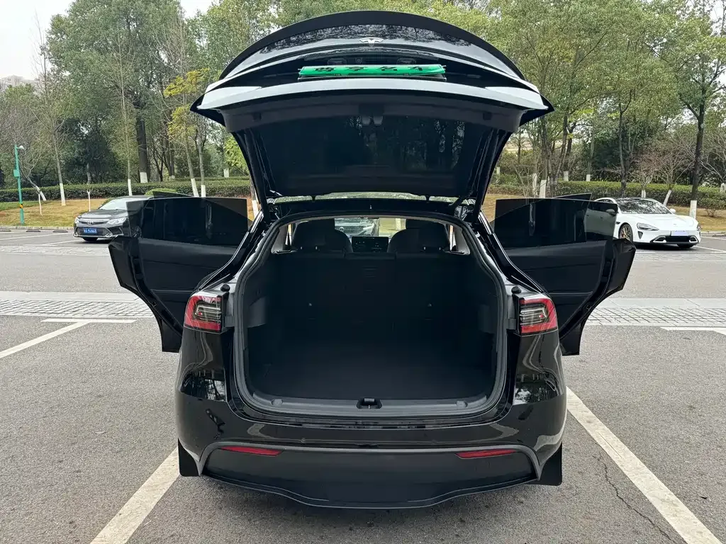 Tesla Model Y 2022 из CN, фото 8